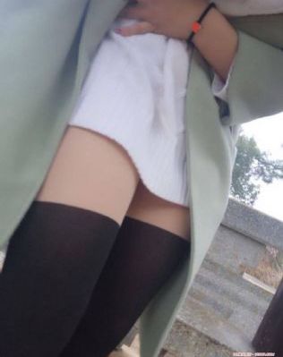 猫咪影院