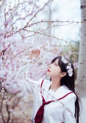 年轻的嫂子 韩国